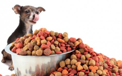 Dieta semihúmeda para perros
