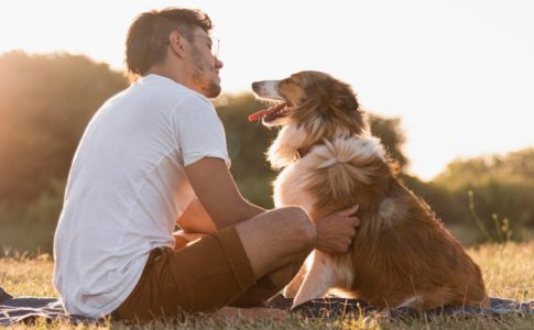 Las claves para mejorar la relación con tu perro