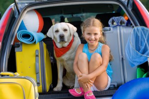 Recomendaciones para viajar con perros