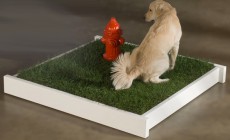 Empapadores para perros de hierba artificial