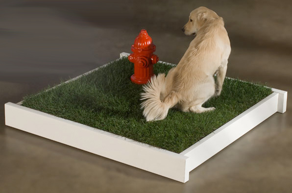 Empapadores para perros de hierba artificial