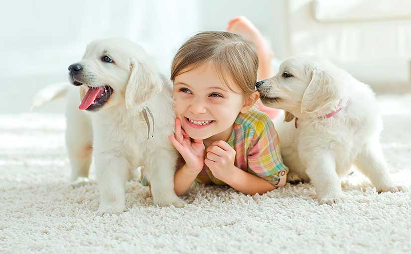 Niños con perros