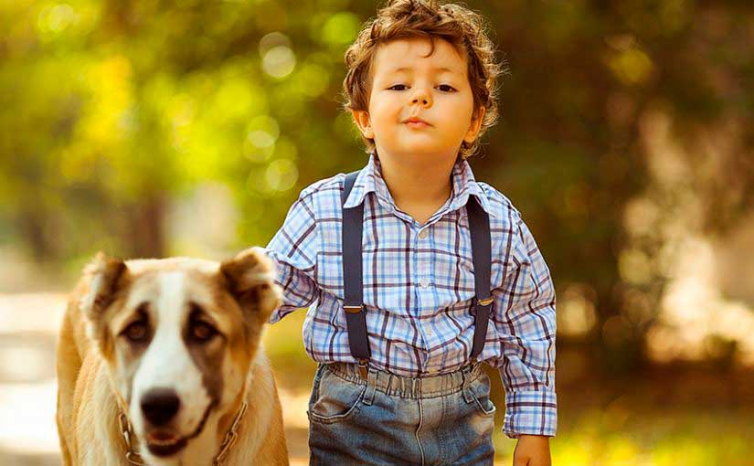 Beneficios niños con perros