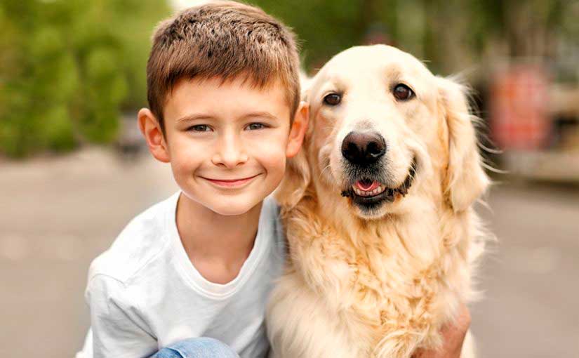 calculadora estoy feliz T 5 beneficios que los perros aportan a los niños | Perros para niños