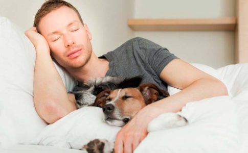 Razones por las que los perros aman dormir con sus dueños