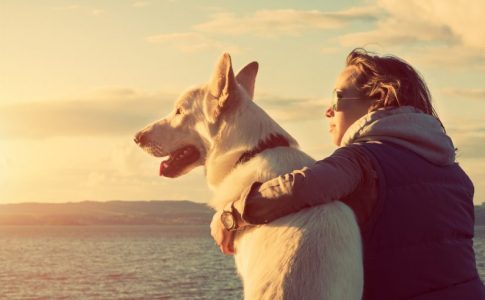 Motivos por los que viajar con tu perro en vacaciones