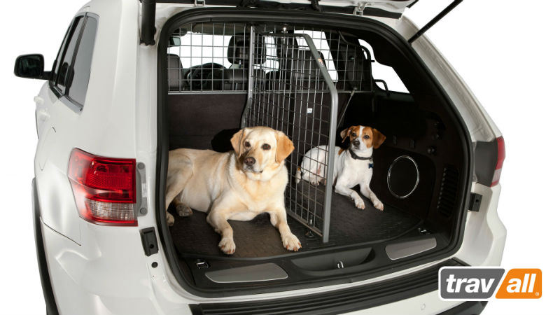 Seguridad para tu perro en el coche