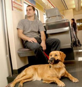 Ir con perro en tren por Europa